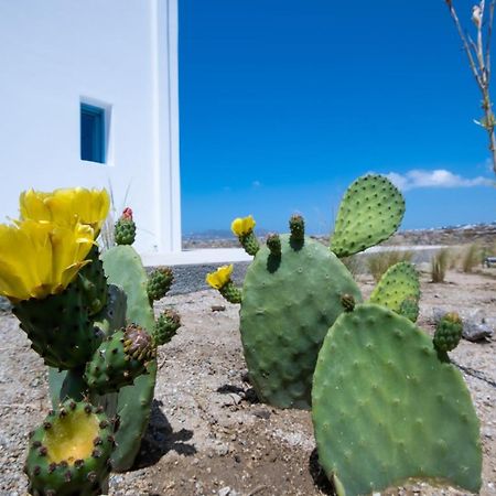 Lilly Villa By Bestofmikonos Ornos  Bagian luar foto