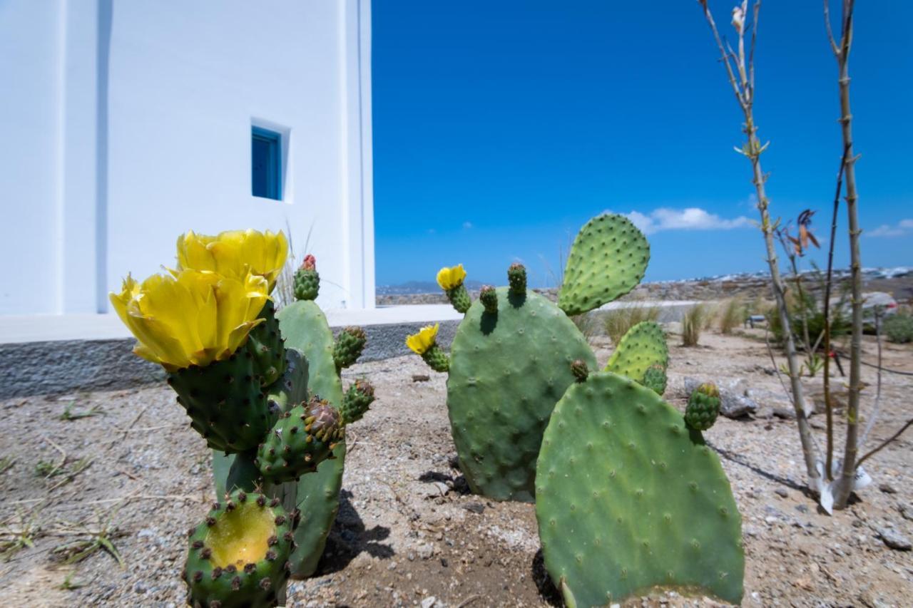 Lilly Villa By Bestofmikonos Ornos  Bagian luar foto